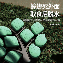 Big tree cockroach medicine household a nest of kitchen strong cockroach glue bait agent solid size through non-toxic 10