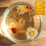 昏 银 莶 莶 鹨 鹨 鹨 鹨 鹨 鹨 鹨 鹨 鹨 鹨 鹨 鹨