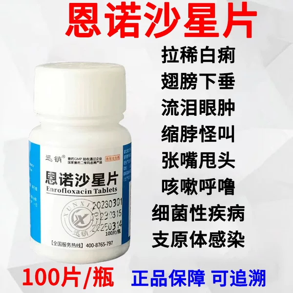 Товары от jiechenyang1122