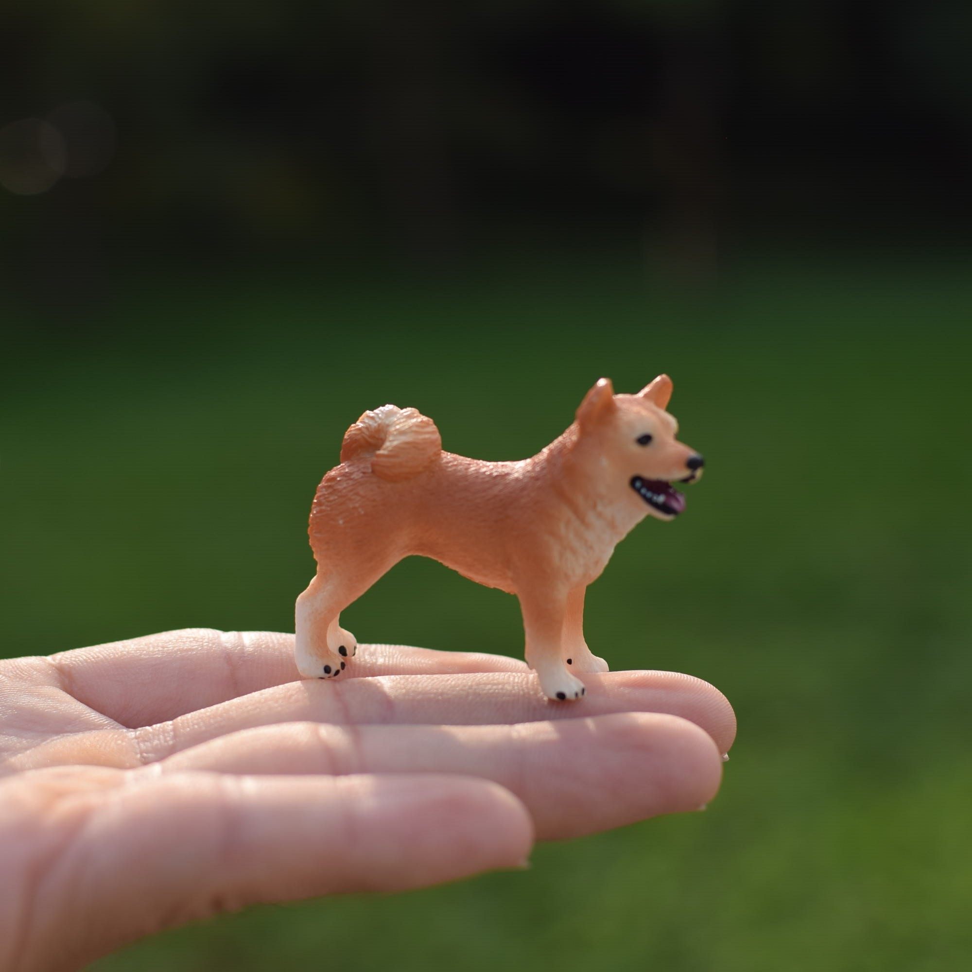ヤ曲幽鳴 德國思樂沙皮犬秋田犬柴犬寵物狗金毛法斗牛犬臘腸模型仿真玩具 Yahoo奇摩拍賣