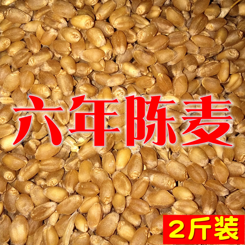 Chinese herbal medicine 6 years Chen Mai 2 catty old wheat farmer Chen wheat farmhouse medicinal with peel wheat grain to stop the sweating and calm the mind
