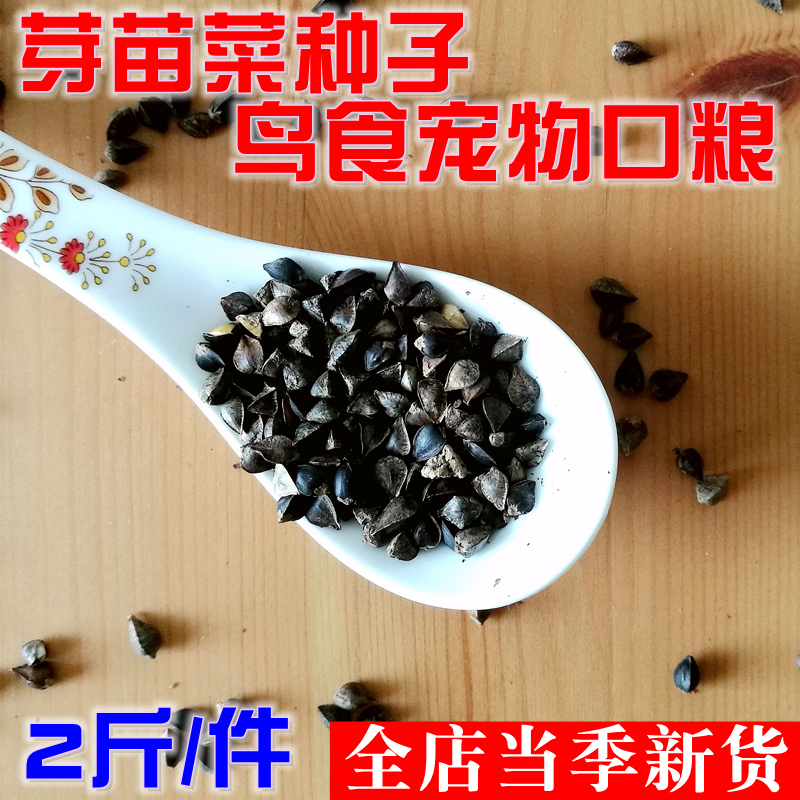 2 Jin New With Shell Buckwheat Umai Triangle Sweet Buckwheat Hamster Hamster Dragon Cat Food Letter Dove Parrot Bird Food Feeding Pigeon Wine