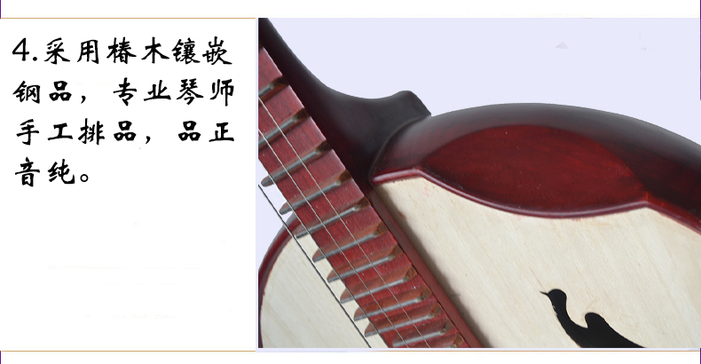 Trung úy Nhạc cụ Giới thiệu về Người mới bắt đầu, Hoa xương Elm, Hoa, Hoa, Hoa, Hoa, Hoa, Hoa, Trung Quốc - Nhạc cụ dân tộc saotruc maomeo