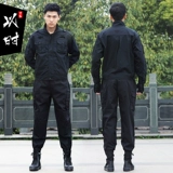 Комплект для тренировок, летняя куртка, форма для работы