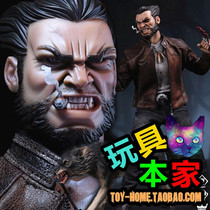 Loss-making special offer Brand new spot DAMTOYS GK011 SQUARE 5 Raelf WOLF GHOST WOLVERINE DAM