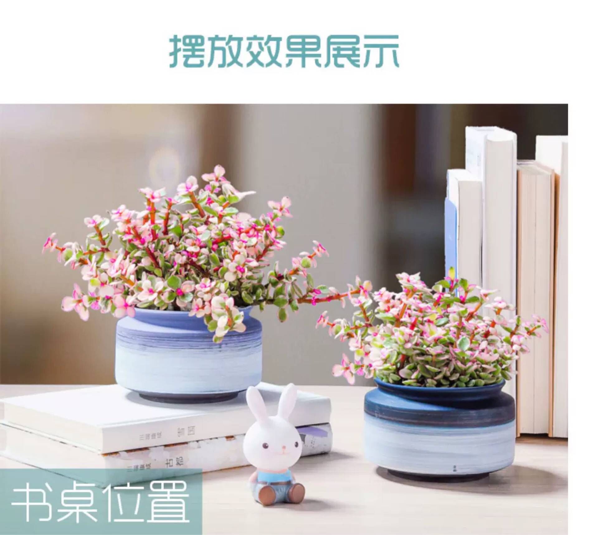 Coarse pottery breathable purple ceramic large fleshy old running of large diameter creative meat meat special offer a clearance flower pot the plants
