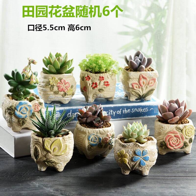The Fleshy coarse pottery flowerpot ceramic creative special offer a clearance small old running the breathable large - diameter meat meat the plants flower pot