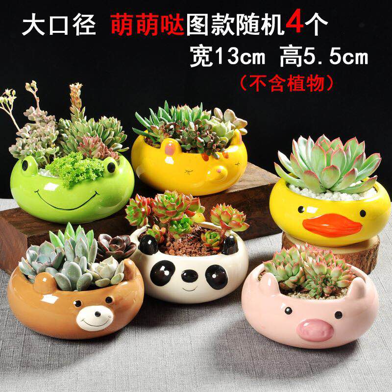 Korean special offer a clearance large fleshy flower pot ceramics large - diameter meat meat plant coarse pottery breathable creative flower pot