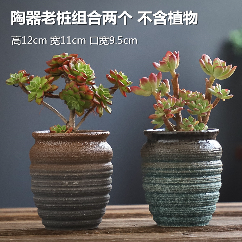 The Fleshy flower pot large old running the special offer a clearance of creative move of large diameter coarse pottery breathable ceramic flesh POTS of the plants