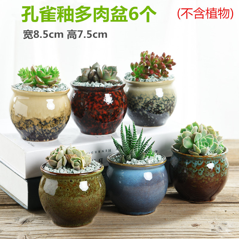The Fleshy coarse pottery flowerpot ceramic creative special offer a clearance small old running the breathable large - diameter meat meat the plants flower pot