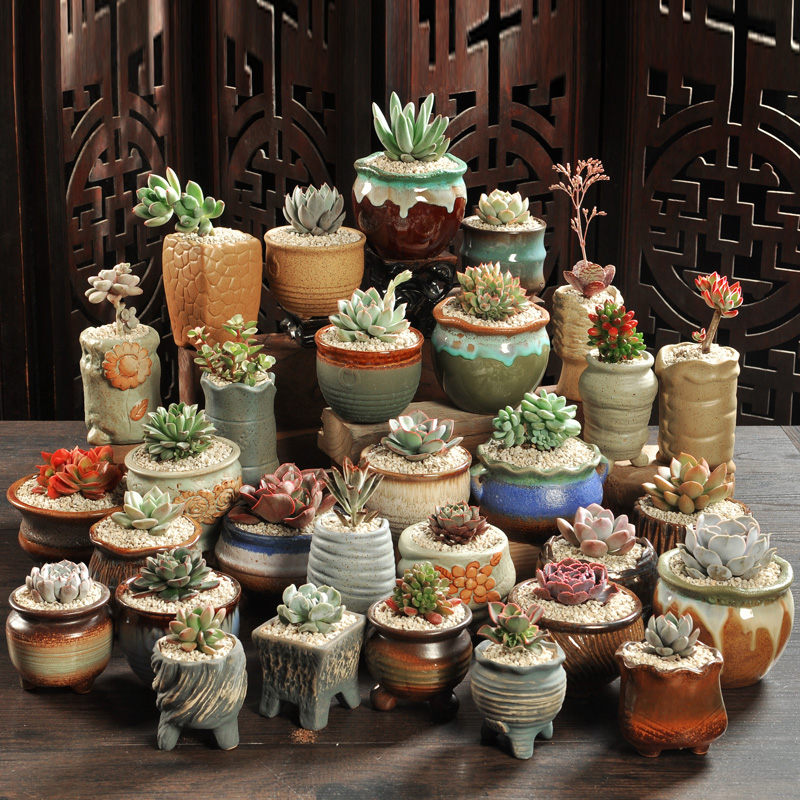 Best wholesale ceramic flower pot with the random, fleshy meat meat to sell large purple creative move small fleshy flower pot