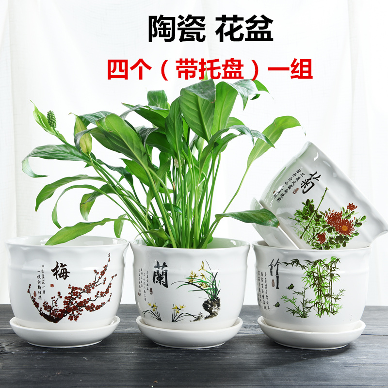 Flowerpot flesh household ceramics special offer a clearance with tray was creative move contracted large money plant small fleshy flower pot