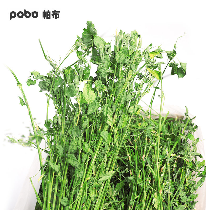 22-year-old premium dried alfalfa head stubble alfalfa, chinchilla, rabbit, guinea pig, pasture, calcium supplement and milk