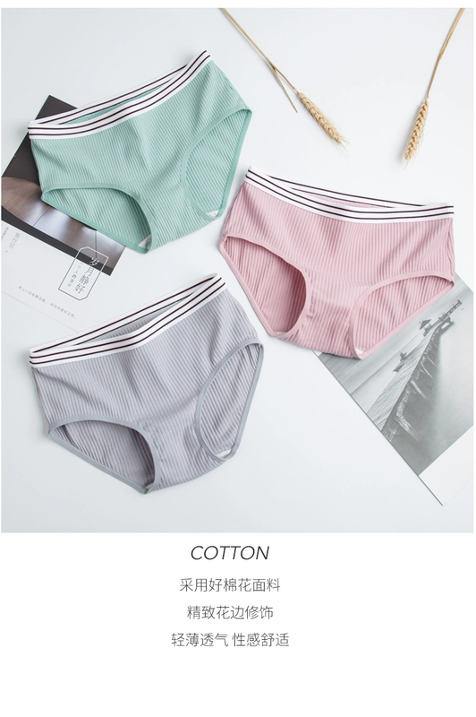 Nam cực quần lót phụ nữ cotton tệp cô gái giữa eo cô gái dễ thương Nhật Bản phụ nữ quần sịp - Tam giác