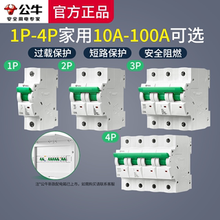 Bull air switch 1P household air open 32A safety 2P plastic shell small 63A three-phase electric gate air switch circuit breaker