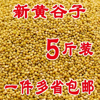 Parrot grain with shell yellow millet bird food bird food feed tiger skin peony Xuanfeng horizontal class shell millet millet