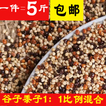 Millet millet parrot mixed grain small parrot bird food feed Wen bird tiger skin Xuanfeng peony one piece five catties