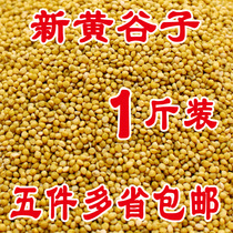 Parrot grain with shell yellow millet bird food bird food feed tiger skin peony yellow yellow grain with Shell grain a 500 grams