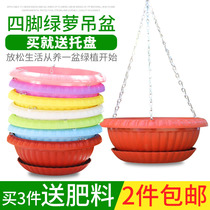 Green Roe hanging flowerpot with tray resin plastic thickened orchid round flowerpot green planting basket enlarged green pot