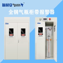 Full Steel Cylinder Cabinet Laboratory Explosion Proof Safety Cabinet Single Double Three Four Bottles Methane Propane Propylene Butane Acetylene