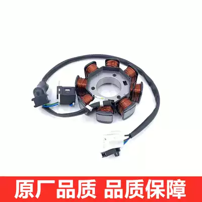 Suitable for Suzuki Li Cai QS125T-2A 2B Yun Cai QS100T-A B coil magneto stator ignition coil
