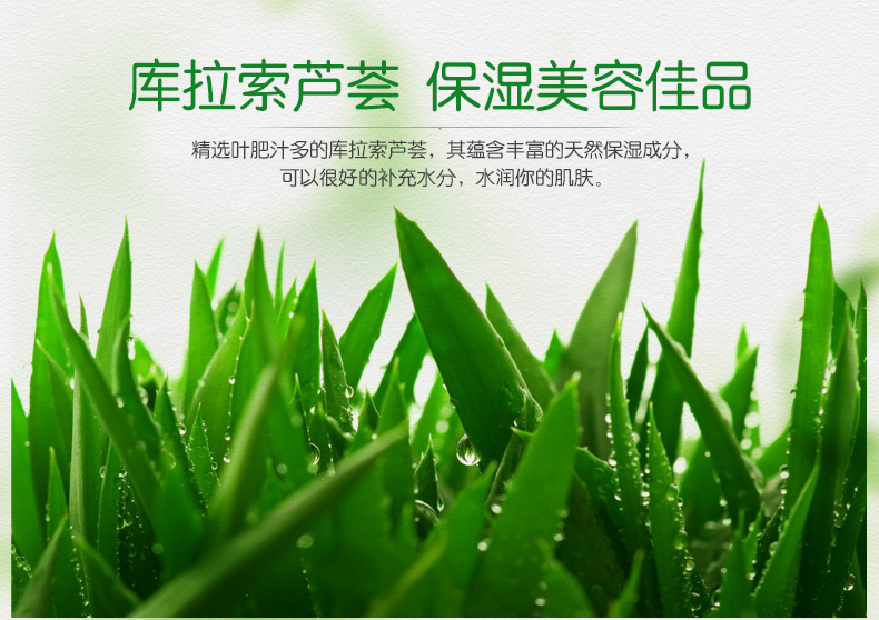 Jiaxue Aloe Moisturising Firming Eye Cream Desalination Eye Bag Dark Circle Fine Line Deep Moisturising Lock Moisturising Eye Serum serum dưỡng mắt