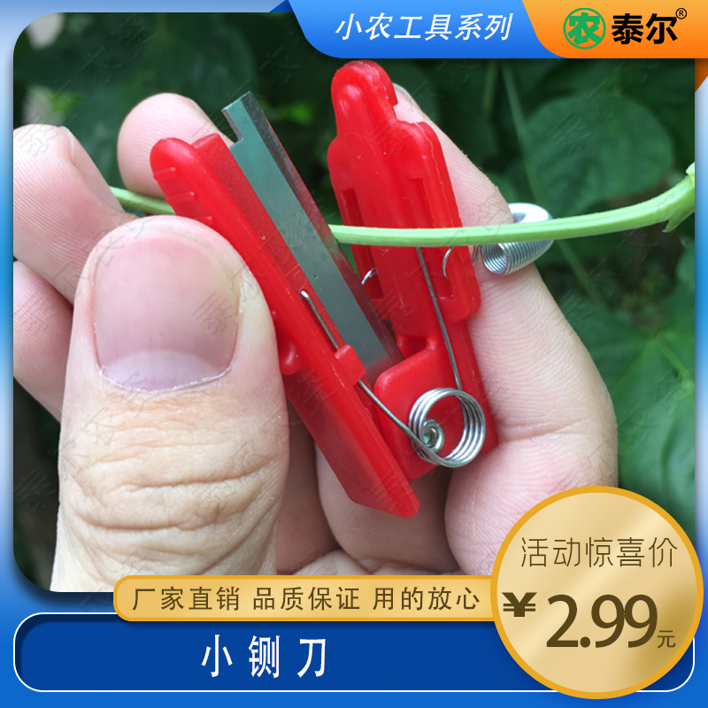 Household vegetable cucumber pinched small, knife garden picked tip fingertips and pinched fruit farming supplies