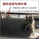 ເຄື່ອງດົນຕີ Jiaxue clarinet YCL-100 clarinet miraklu ມະຫັດສະຈັນ