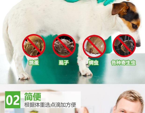 Nhảy vào ống nghiệm Teddy bed puppy dog ​​dog cung cấp chó tẩy giun cho mèo và chó diệt côn trùng tẩy giun cho mèo con ngoài bọ chét xịt côn trùng