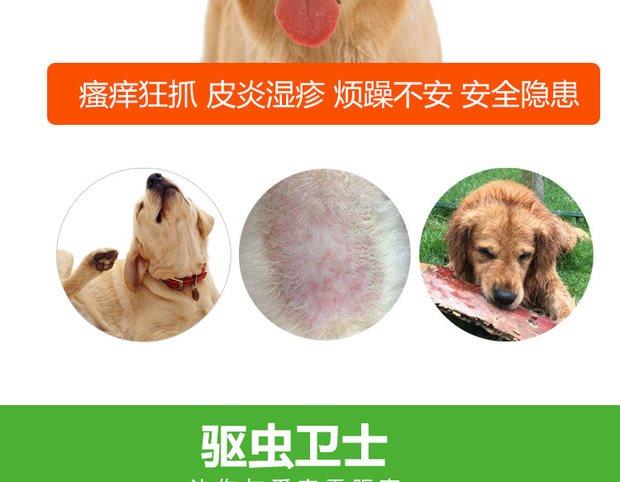 Nhảy vào ống nghiệm Teddy bed puppy dog ​​dog cung cấp chó tẩy giun cho mèo và chó diệt côn trùng tẩy giun cho mèo con ngoài bọ chét xịt côn trùng