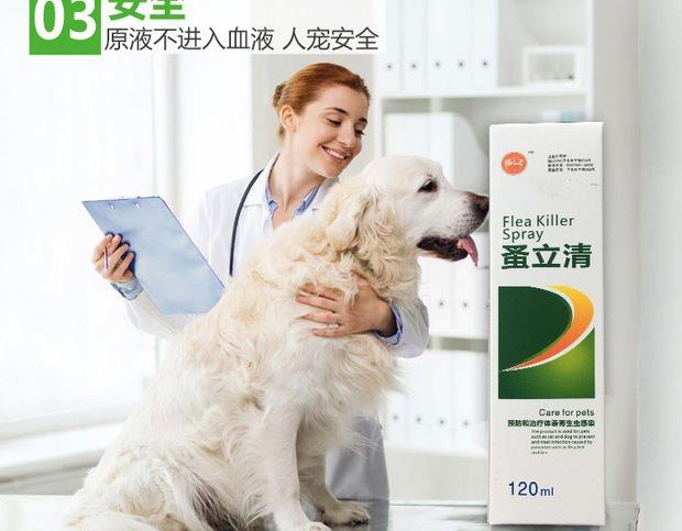Nhảy vào ống nghiệm Teddy bed puppy dog ​​dog cung cấp chó tẩy giun cho mèo và chó diệt côn trùng tẩy giun cho mèo con ngoài bọ chét xịt côn trùng