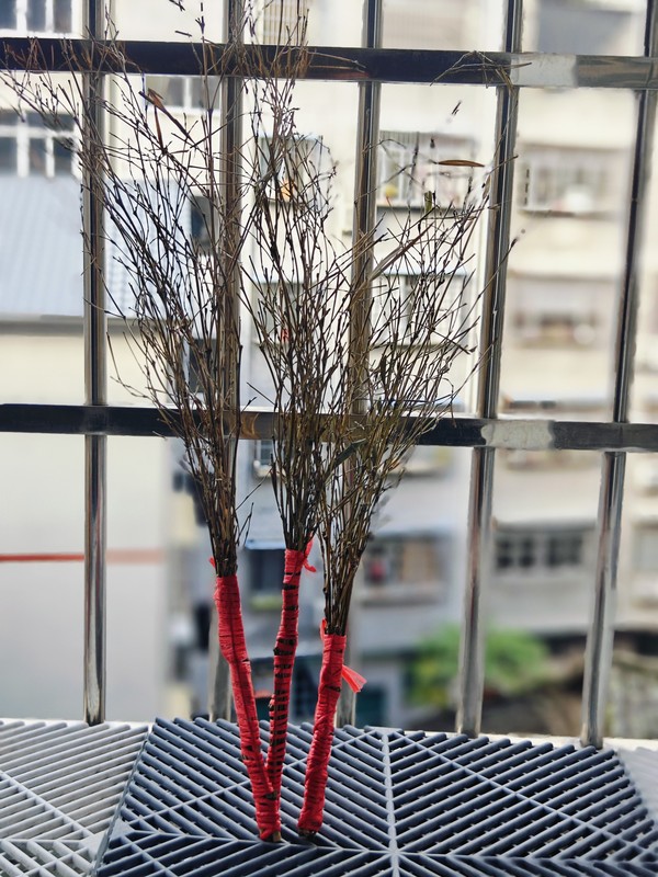 (New Store Opening) Ancient Magic Tool Handmade Bamboo Whip for Home Use, Soft Bamboo Sticks, Thin Bamboo Branches, Bamboo Whip (New Store Opening) Ancient Magic Tool Handmade Bamboo Whip for Home Use, Soft Bamboo Sticks, Thin Bamboo Branches, Bamboo Whip