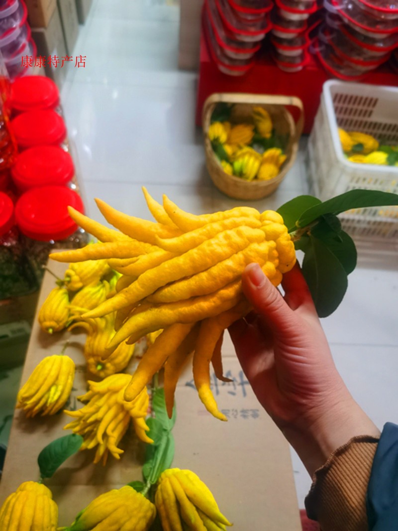 Golden Watson's prolific Buddhist hand now pluss to be found for the Buddha's hand fruit citruss citrusy yellow fruit and yellow fruit to admire the water-peels