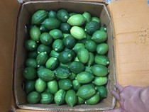 Beijing issued Guangdong perfume lemon first-class pretty fruit