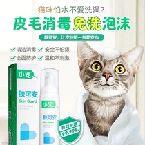 Small pet skin can be an pet fur disinfection disposable foam skin sterilization dog cat tear scar clean black chin Cat Moss