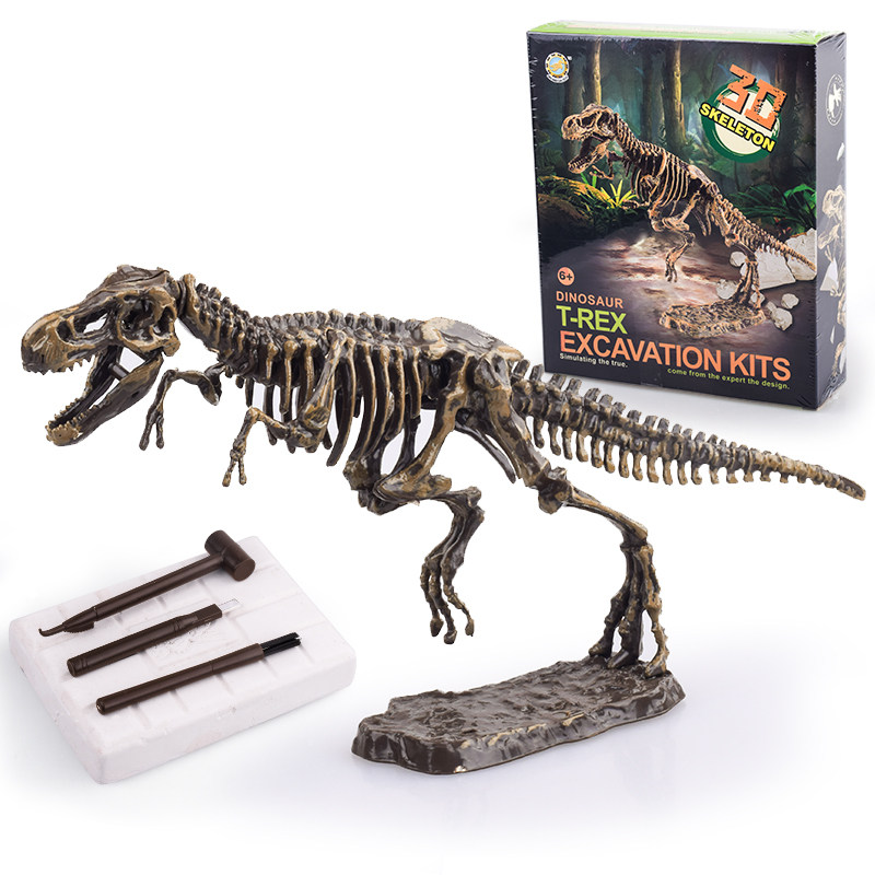 Dinosaur Fossil Skeleton Archaeological Excavation Toy Barking Dragon Assembling Homophobic Eggs Model Children Handmade Diy material 3