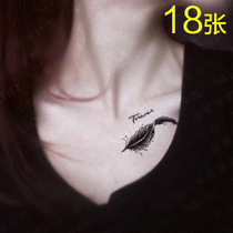  Tattoo Stickers English letters feather totem Waterproof tattoo stickers for men and women long-lasting realistic tattoos