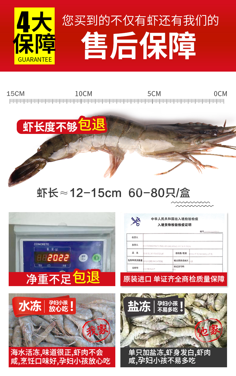 爱吃鱼 活虾速冻 厄瓜多尔白虾  净重3斤 单只约12-15cm 图2