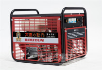 Daze 230A argon arc welding electric welding power generation integrated dual-purpose machine Honda power shu250 shu400 single item three
