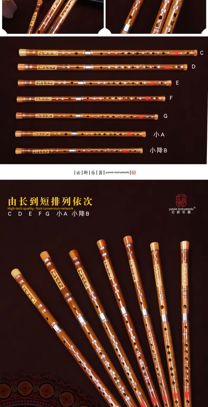 Yunxin chuyên nghiệp chơi sáo, sáo trúc đắng, sáo, giới thiệu người mới bắt đầu, sáo sinh viên, sáo - Nhạc cụ dân tộc sáo điện tử