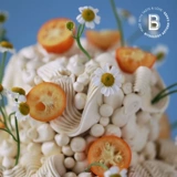 BITEOLOGY [Little Beautiful] C217 Новый праздничный торт Весенний новый продукт доставлен в Пекин и Шанхай