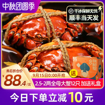 (2 boxed) Flower carving cooked drunk crab 6 sets x2 box flower carving crab hairy crab spicy non-canned seafood cooked food