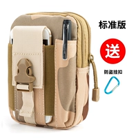 Санджа-стандартная модель