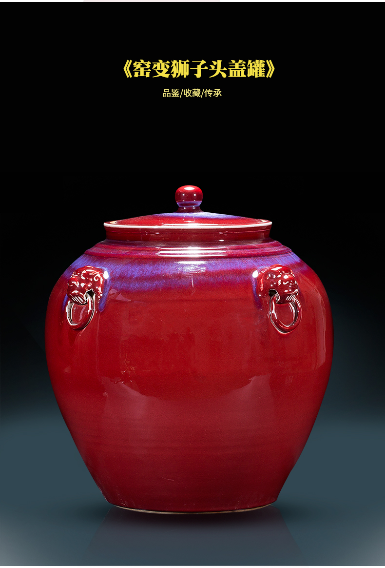 Jingdezhen ceramics up lion epicranium tank storage tank is the new Chinese rich ancient frame home decoration decoration