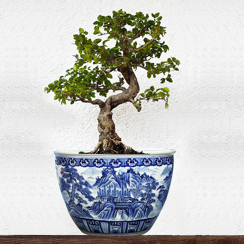 Blue and white porcelain of jingdezhen ceramic furnishing articles a goldfish bowl lotus bowl lotus basin hotel decorative fish bowl large living room