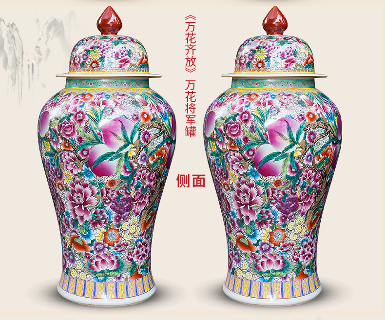 Jingdezhen pure hand - made ceramics from general famille rose flower pot big vase furnishing articles Chinese style living room floor decoration