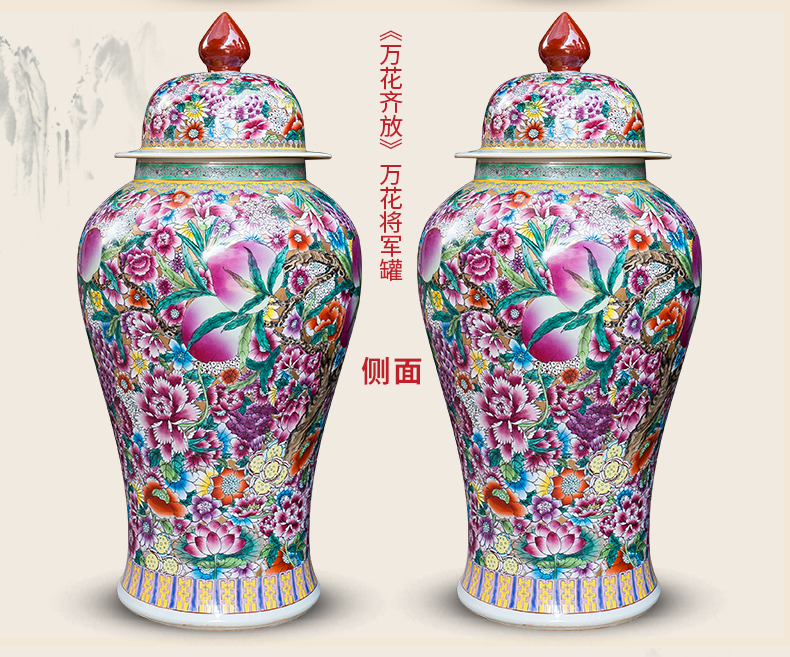 Jingdezhen pure hand - made ceramics from general famille rose flower pot big vase furnishing articles Chinese style living room floor decoration