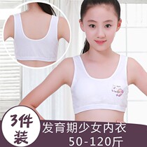 Girls sling developing vest-bump first phase wear cotton breast primary 10-12 years old