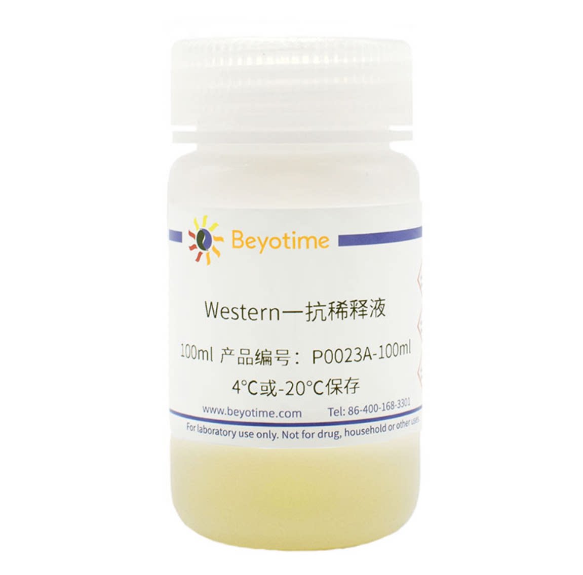 碧云天 P0023A Western一抗稀释液 100ml 500ml