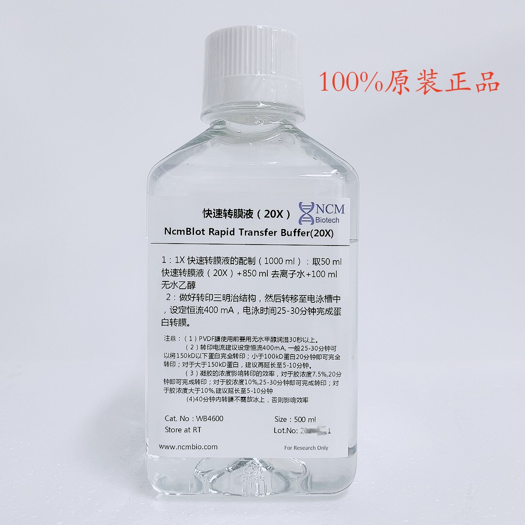 新赛美 WB4600 快速转膜液（20X） 500ml